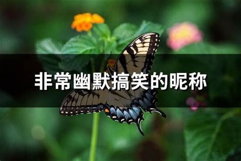 幽默的名字|非常幽默搞笑的昵称 (优选535个)